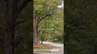 🎃Concord, Massachusetts was a dream 🤍🎃🤍 #fall #fallvideos #fallvibes #october #newengland