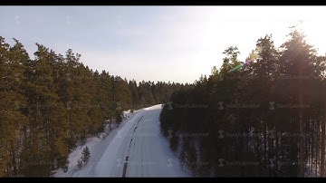 Siberia, aerial: empty rural road between rows of trees