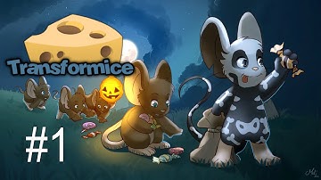 Transformice - Bootcamp / Ep. 1