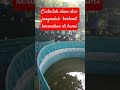 dan janganlah berbuat kerusakan di bumi #shortvideo #fypyoutube #quotes #budidayatanaman #viral2025