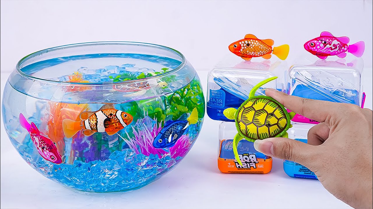 [🐟toy asmr🐟] ZURU Robo Alive Turtle & Robo Fish Playset ASMR 🐢 Satisfying with Unboxing 🔇No talking🔇