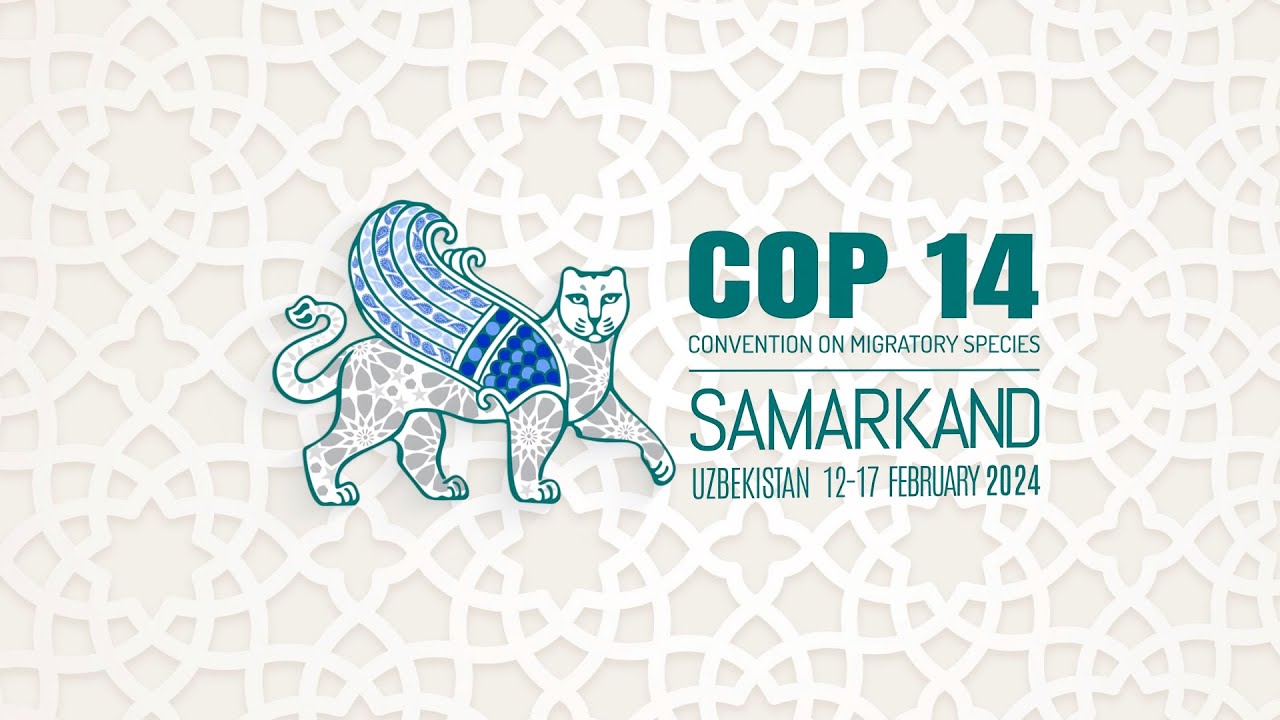 CMS COP14 - 6th Day Plenary [RUSSIAN] / 17 Feb morning session