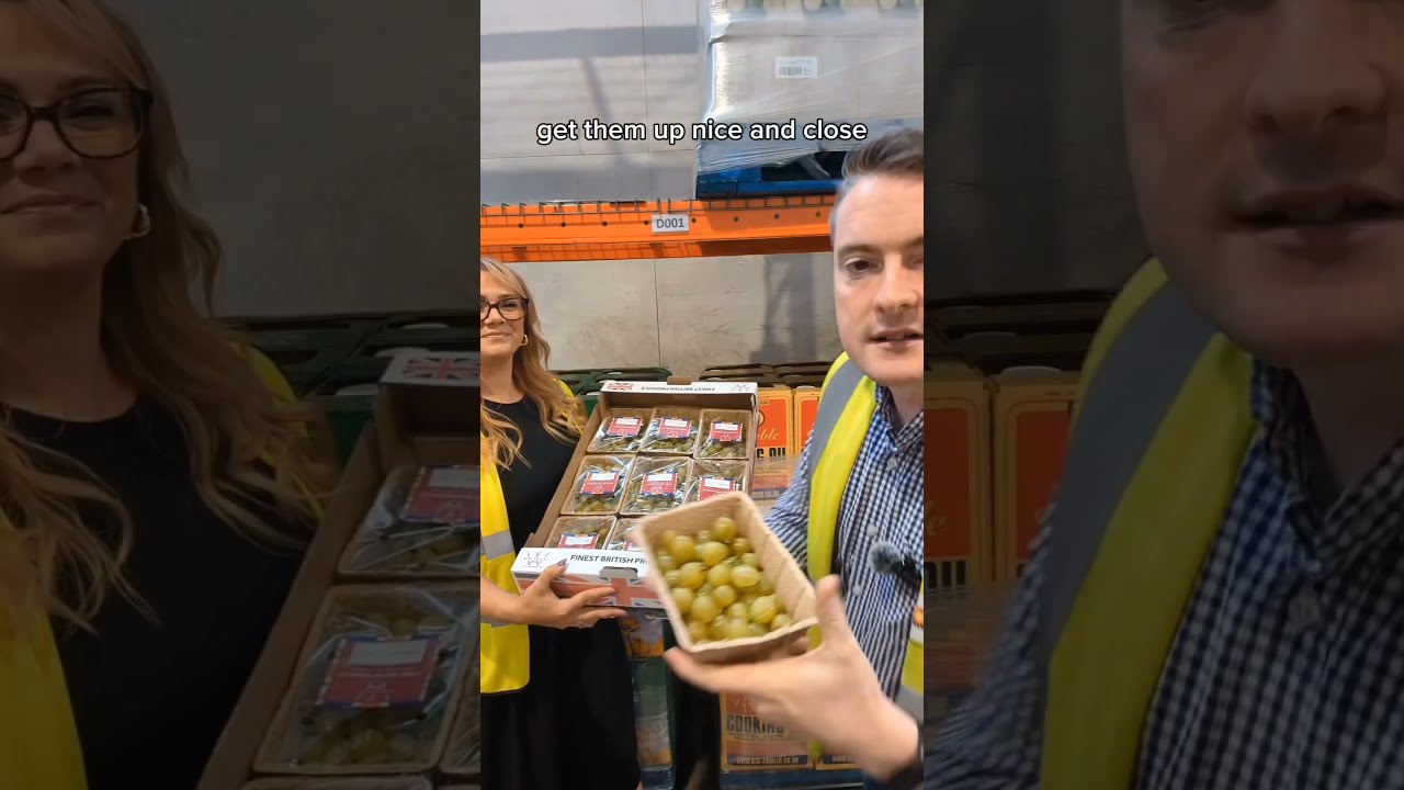 What S In The Box 
