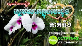 ល្ខោននិយាយរឿង ស្នេហ៍លាក់ក្នុងបេះដូង ភាគទី 6 La Khon Niyeay Roeung Sne Leak Knong Besdong Part 6