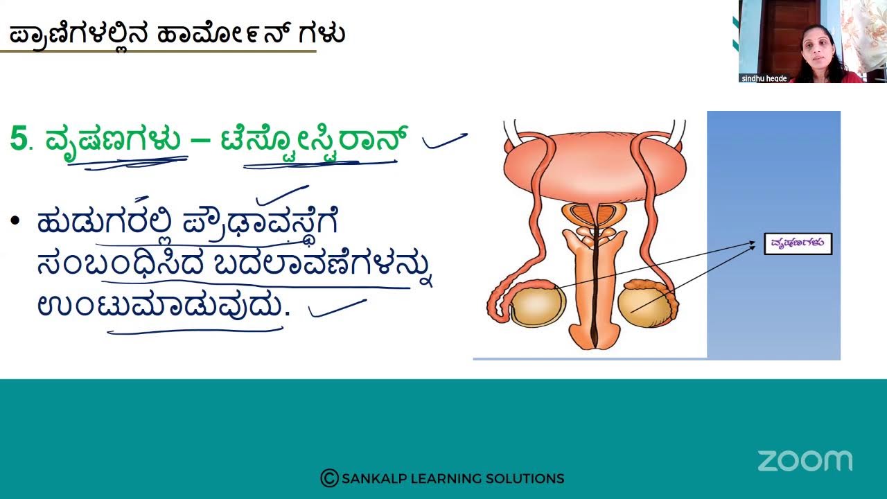 GHS Hallikhed - ನಿಯಂತ್ರಣ ಮತ್ತು ಸಹಭಾಗಿತ್ವ - Science - Session 81