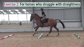 One grid to solve all your jumping problems with Emily King | Horse&Rider