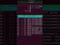 ubuntu 24.04 часть 2