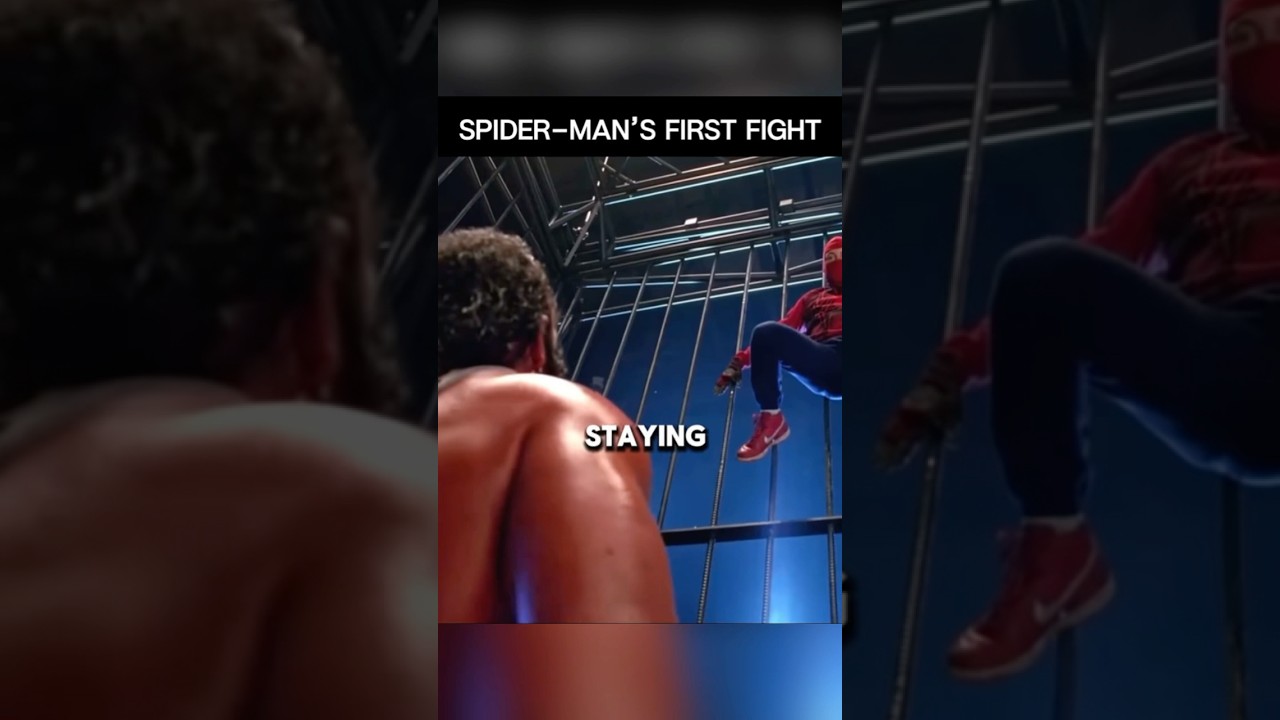 Spiderman’s Fist Fight 