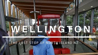 24 Hours in Wellington! | Budget Travel | Road Trip NZ