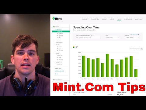 What Mint Ipad App Review