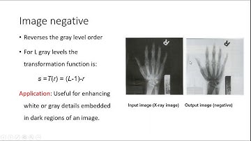 Negative of RGB Image in MATLAB | Negative of Grayscale Image in MATLAB