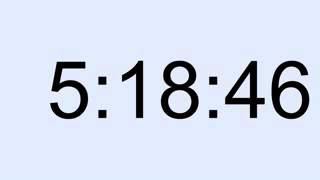 10 hour timer 81