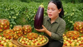 How to Make Sweet and Sour Pickled white Eggplant - Harvesting - Gardening | Trieu Mai Huong