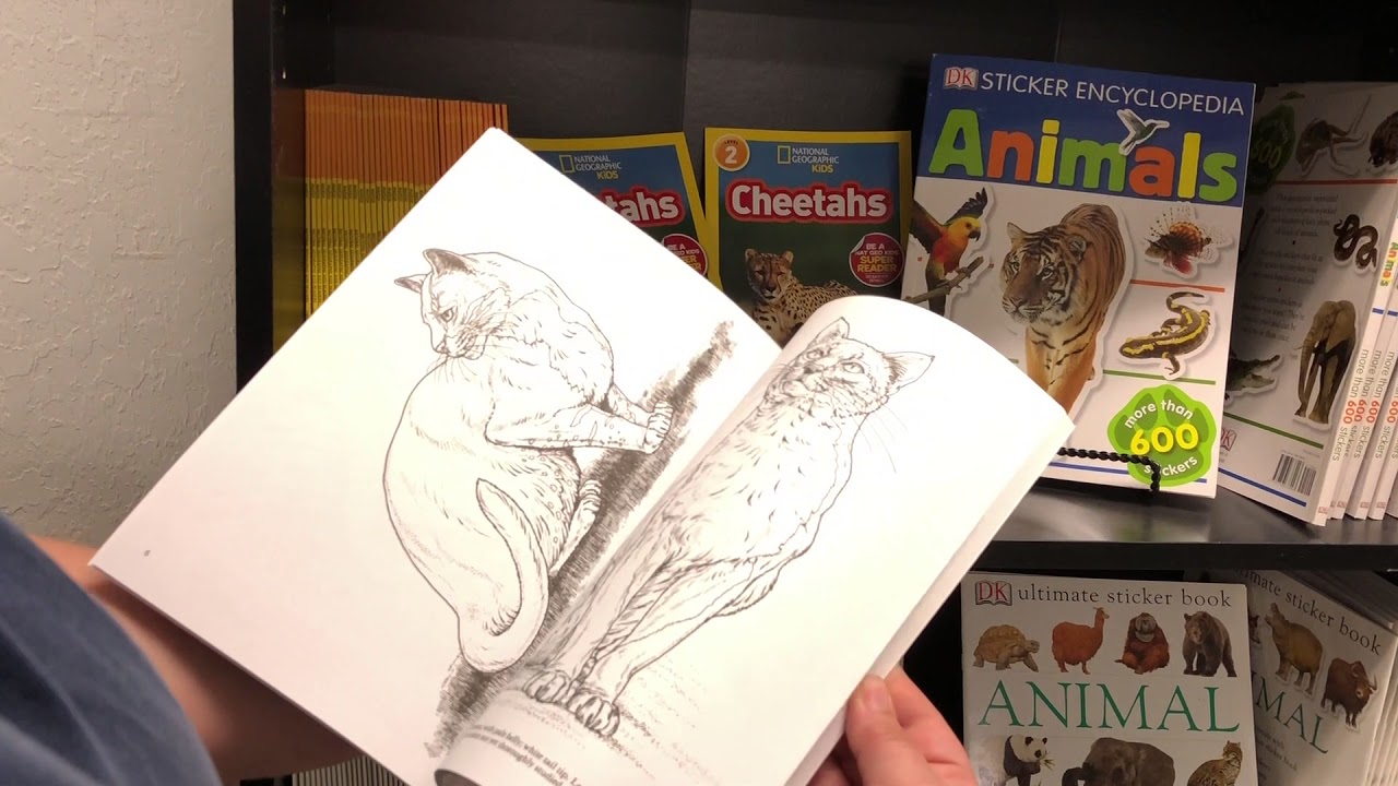 rescue dogs rock nyc BOOK FOR KIDS WILDCATS OF THE WORLD COLORING BOOK