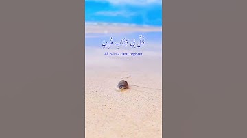 القران الكريم مترجم باللغة الانجليزية quran