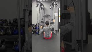 Celebrity Seated Cable Alternating Lat Pull Down + Iso-Hold Profile