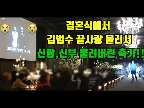 노래하는 한라봉남, 유튜브 영향력 리포트