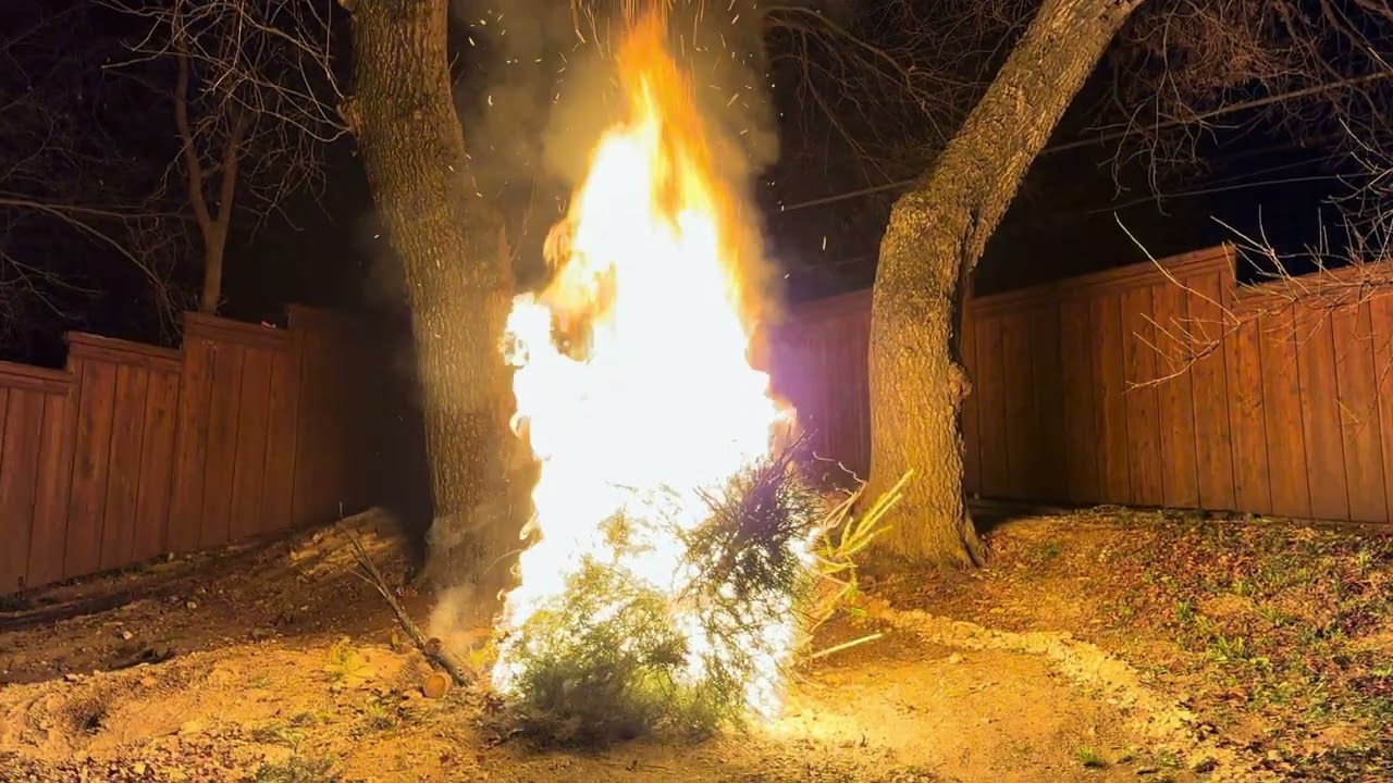 Hallelujah, Hallelujah, Hallelujah: The Last Christmas Tree Burning