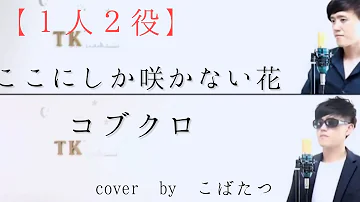 ここにしか咲かない花 コブクロ 歌ってみた がま تحميل Download Mp4 Mp3