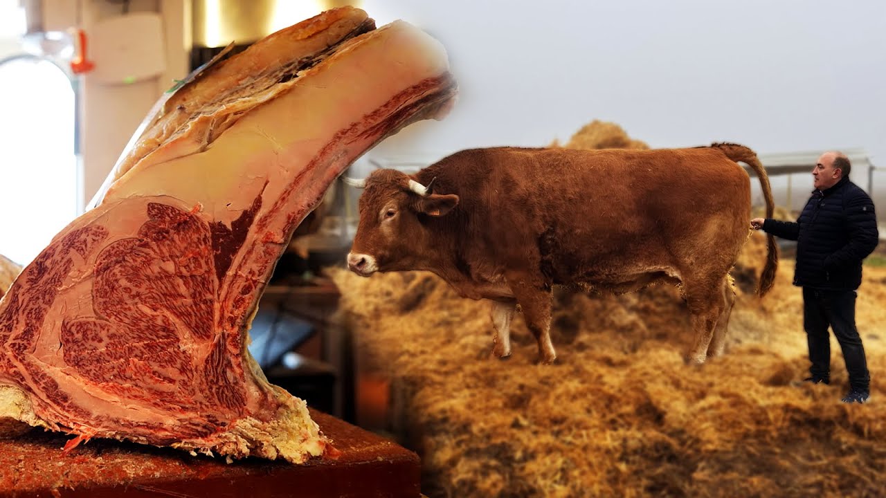 2ª Melhor STEAKHOUSE do Mundo - El Capricho