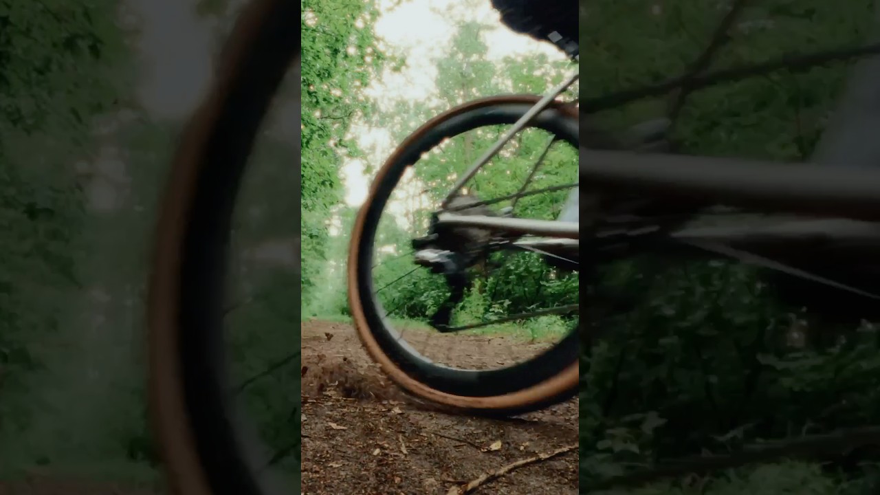 Thomson’s TI Gravel Dream.