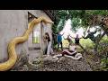 5 Brave Expert Rescues Younger Sister from 100 Giant Python In Abandoned House