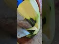 the stage of peeling the skin of a fruit using a knife on the difficult parts#fruit