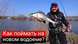 Как искать и поймать рыбу на новом водоёме? Рабочие приманки и проводки. [Спиннинг Arion 832 LS]