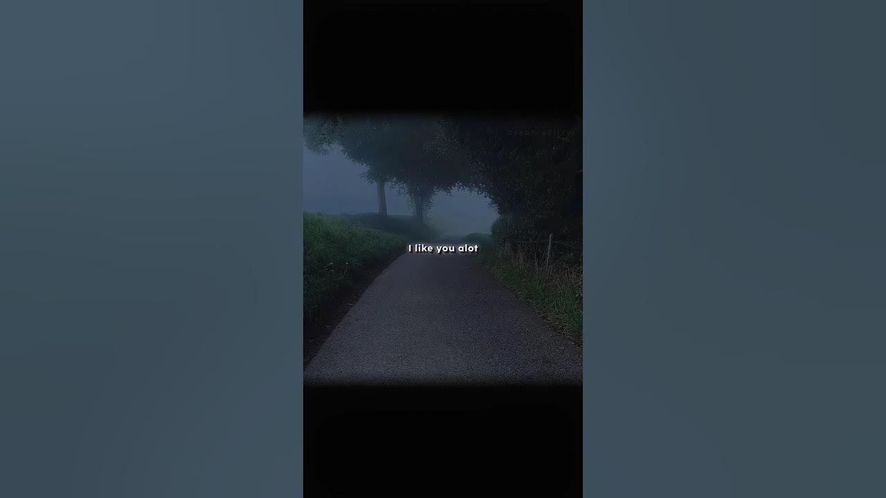 Music to watch boys to x i wanna be yours lyrical aesthetic edit|| Lana del ray song|| Relaxing song Music to watch boys to x i wanna be yours lyrical aesthetic edit|| Lana del ray song|| Relaxing song