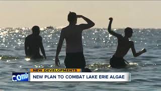 Ohio governor signs executive order to fight harmful algae blooms in Lake Erie