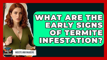 What Are The Early Signs Of Termite Infestation? - Insects and Invaders