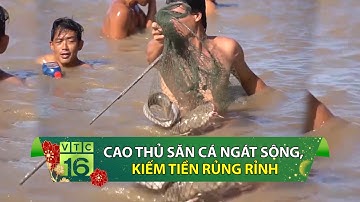 Cao thủ săn cá ngát sông, kiếm tiền rủng rỉnh | VTC16