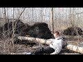 Неудачный бушкрафт. Чуть не поджёг вековые сосны