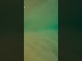 Underwater Cyclone of Sand