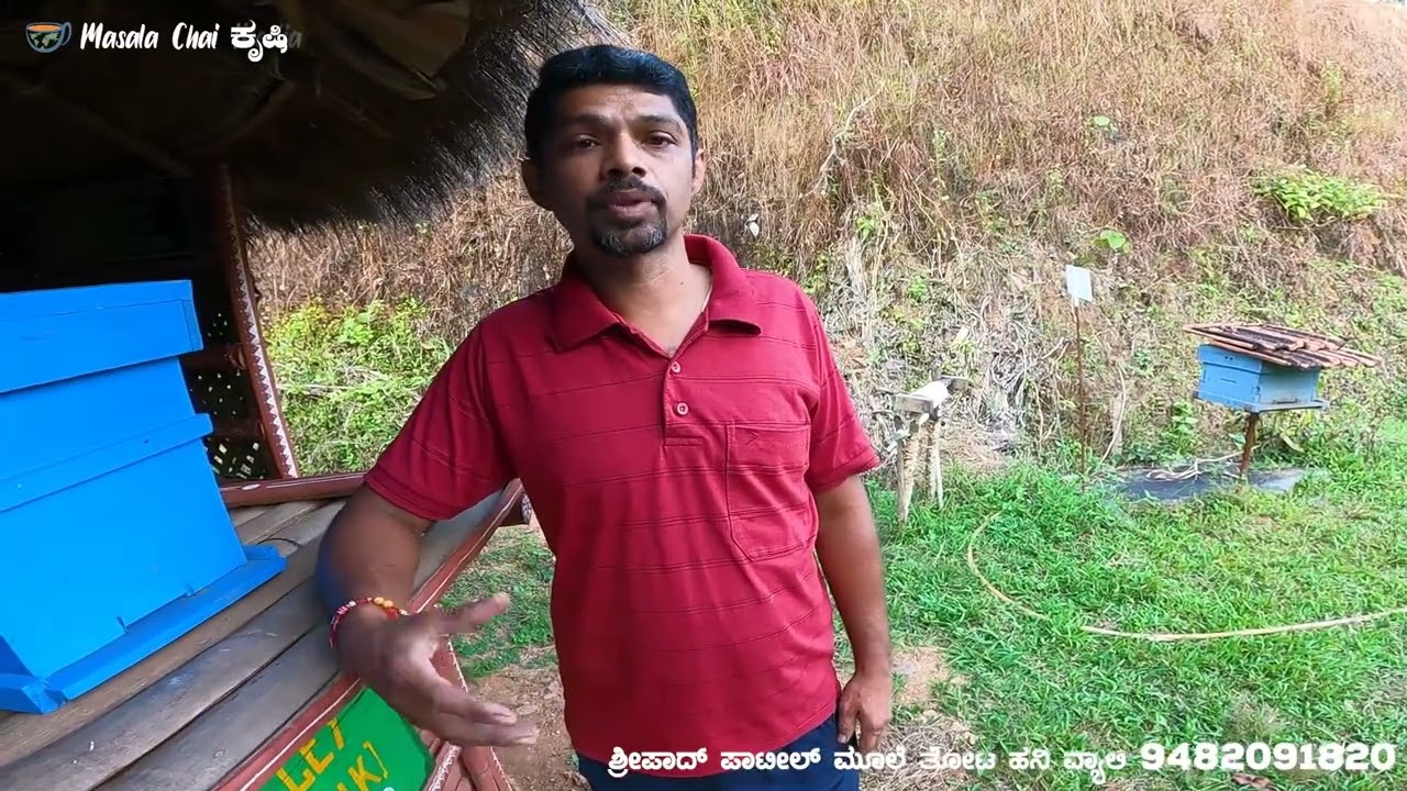 Honey Bee Farming in Kannada ಜೇನು ಕೃಷಿ ಬಗ್ಗೆ ಮಾಹಿತಿ ಶ್ರೀಪಾದ್ ಪಾಟೀಲರಿಂದ | Krishi Suddi Kannada