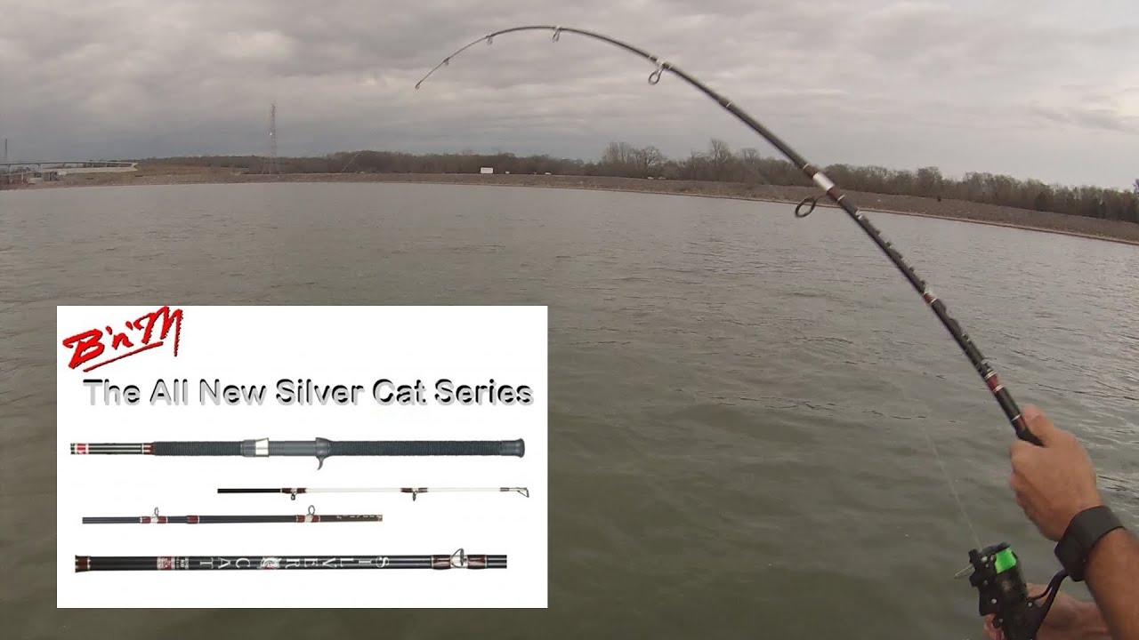 BnM Catfish Rods Gettin the Action! - Big Blue Catfish 