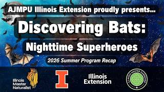 Discovering Bats: Nighttime Superheroes