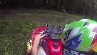 Top Speed On the Grizzly 660 at the Cabin