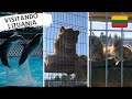 Qué hacer en LITUANIA: DELFINARIO Y ZOOLÓGICO FELINO