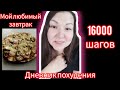 дневник похудения 2.0/худею со 100 кг/16к шагов/любимый завтрак/19.04.23