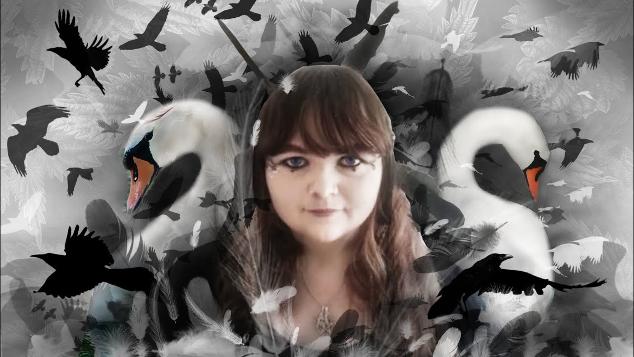 The Wild Swans & The Seven Ravens | Truth Behind the Tale