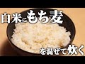 白米にもち麦を入れてご飯を炊く方法