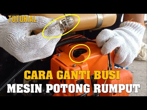 Video: Bagaimana Anda mengganti busi pada mesin pemotong rumput Victa?