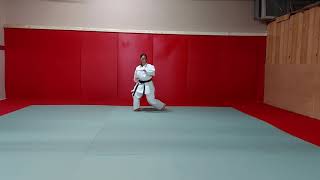 Shintani Wado Kai Karate Federation Virtual Tournament Kata Wansu