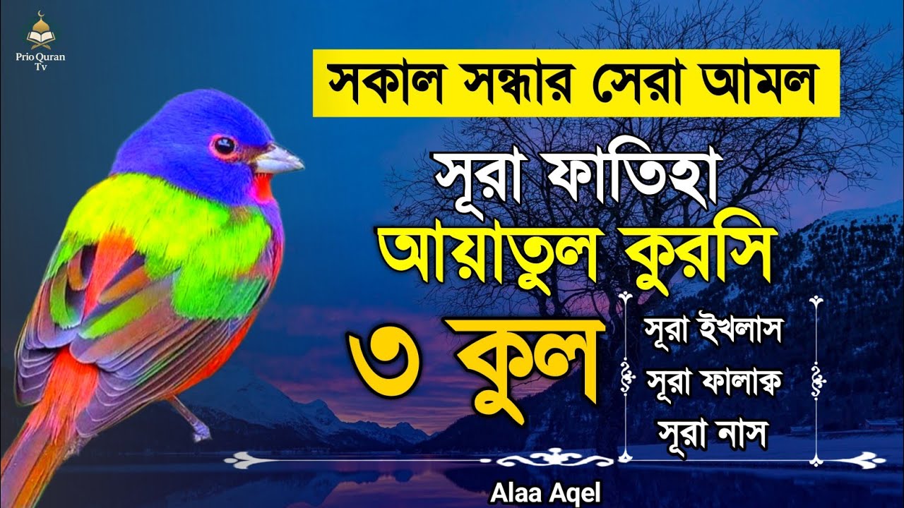 সূরা ফাতিহা আয়াতুল কুরসি ৩কুল | Surah Fatiha Ayatul kursi 3qul | quran recitation | Alaa Aqel |