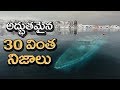 TOP 30 Unknown Facts You Never Know | Most Amazing Facts In Telugu | Unknown Facts Telugu