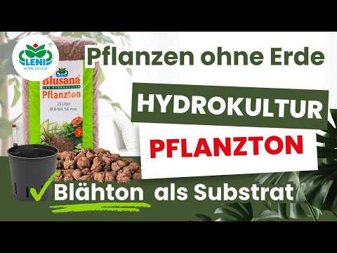 gulasch einkochen schraubgläser Eine Gulaschsuppe, die nicht fragt, ob du Hunger hast. Sie entscheidet das einfach für dich. 🍲😄, 🗒️ Die Zutaten:, 400 g Rindfleisch, 350 g Schweinefleisch, 350 g Kartoffeln, 1 Paprika, rot, 1 Paprika, Größe:350 ml