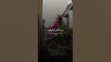 مُحَمَّدٌ رَّسُولُ اللَّهِ | الشيخ_ياسر_الدوسري | سورة الفتح #قرآن #الشيخ_ياسر_الدوسري