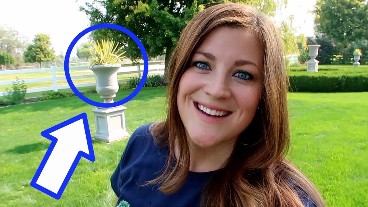 Replacing a Dracaena with a Yucca 🌿// Garden Answer - YouTube