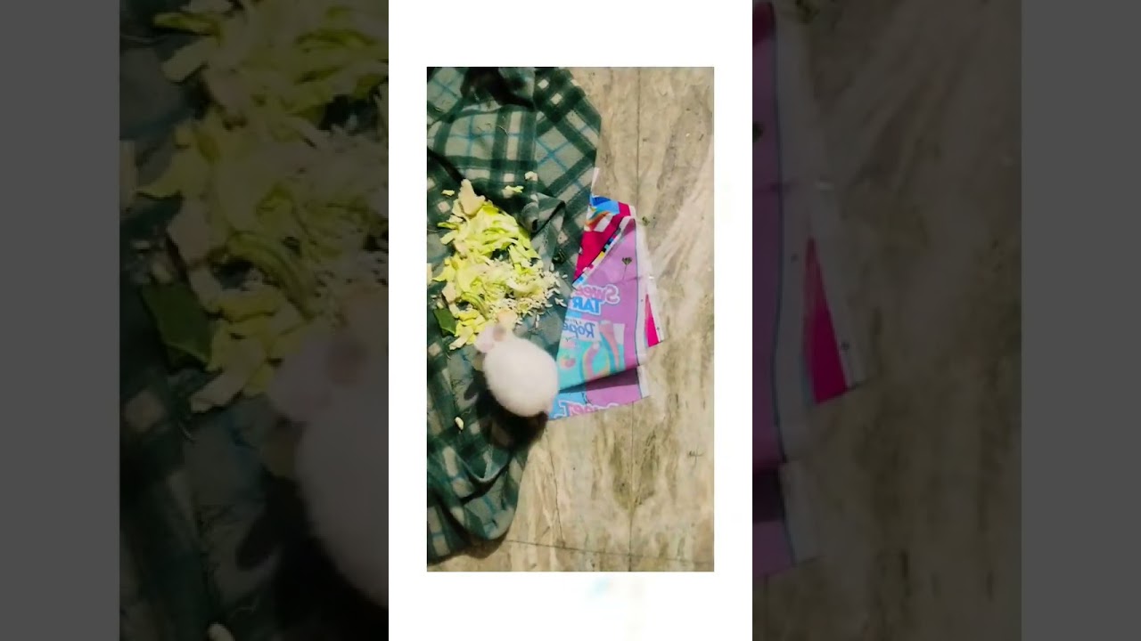 small baby 😘🐰🐇